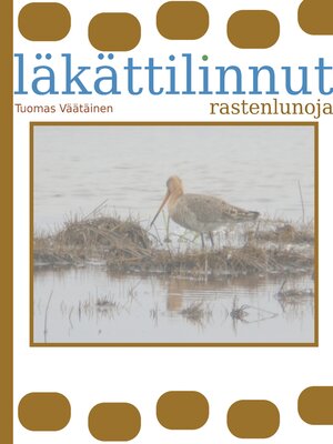 cover image of läkättilinnut